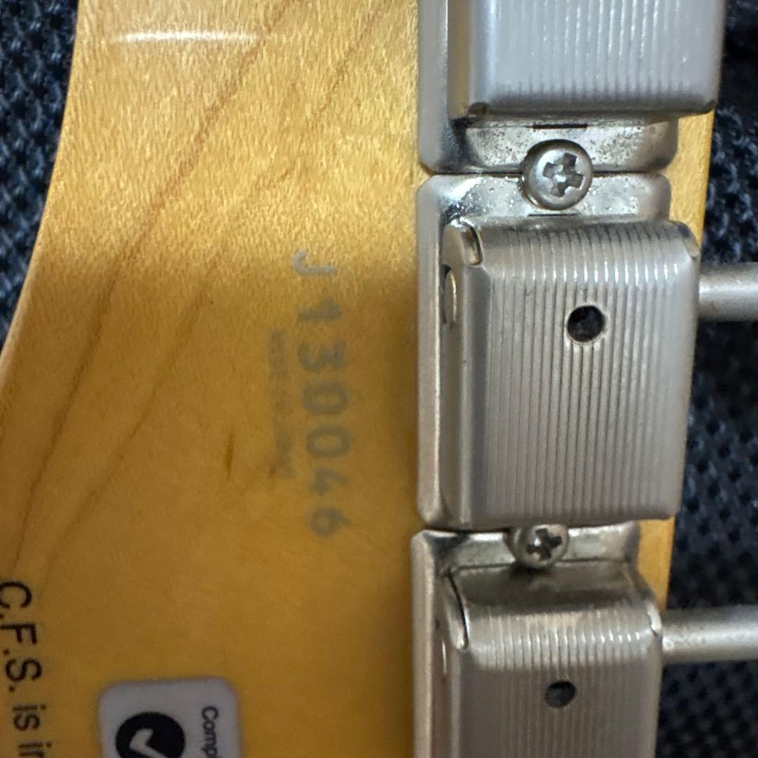 メ*ー様 fujigen FGN フジゲン エレキギター ピック×8 ケース備品