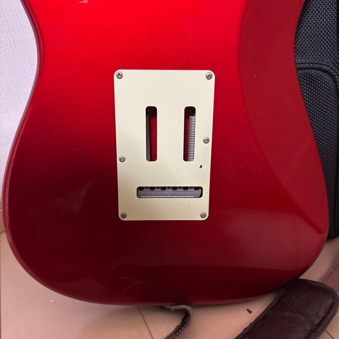 メ*ー様 fujigen FGN フジゲン エレキギター ピック×8 ケース備品