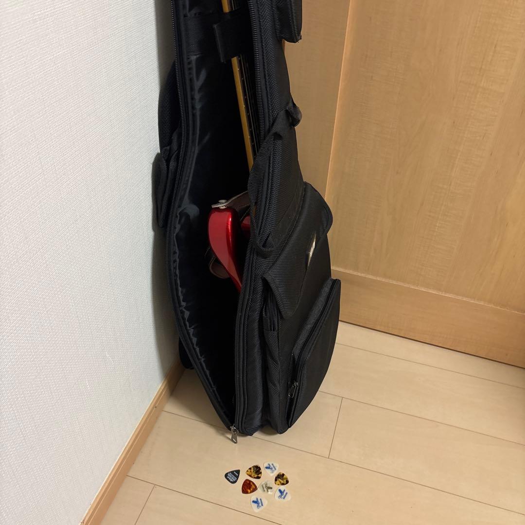 メ*ー様 fujigen FGN フジゲン エレキギター ピック×8 ケース備品