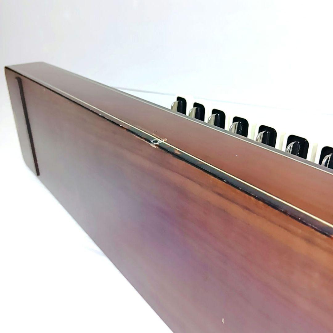 高級大正琴 ライリッシュ LSS150 Lyrissh ソフトケース 和楽器