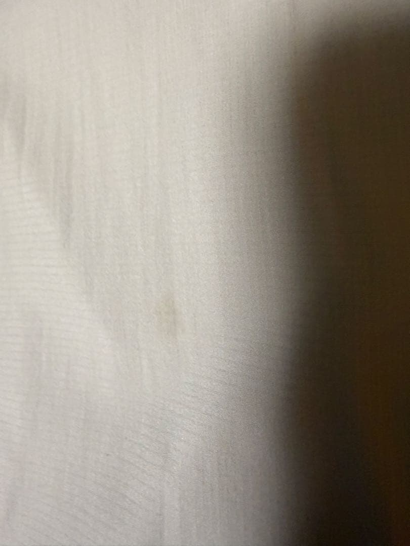 ARC'TERYX Atom SLベスト