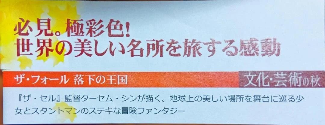 初版激レア The Fall ザ・フォール 落下の王国 ザ・セルのターセム監督