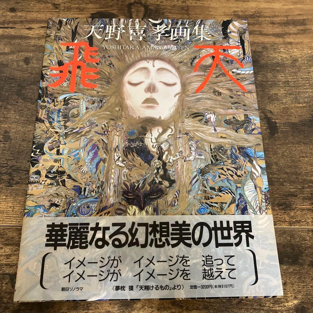 天野喜孝 画集 セット 幻夢宮 FINAL FANTASY 魔天 飛天