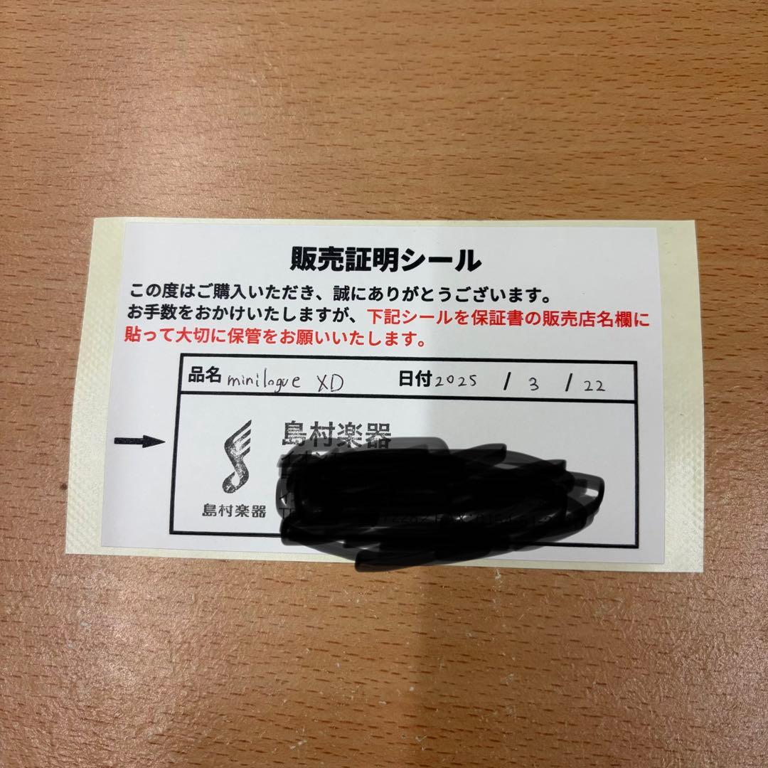 保証内　箱＆専用ケース付き【動作確認済み美品】KORG minilogue xd