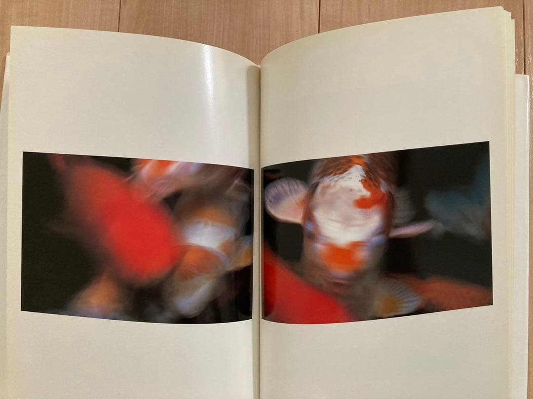 『目のまえのつづき』　大橋仁　写真集　青幻舎　初版・帯なし