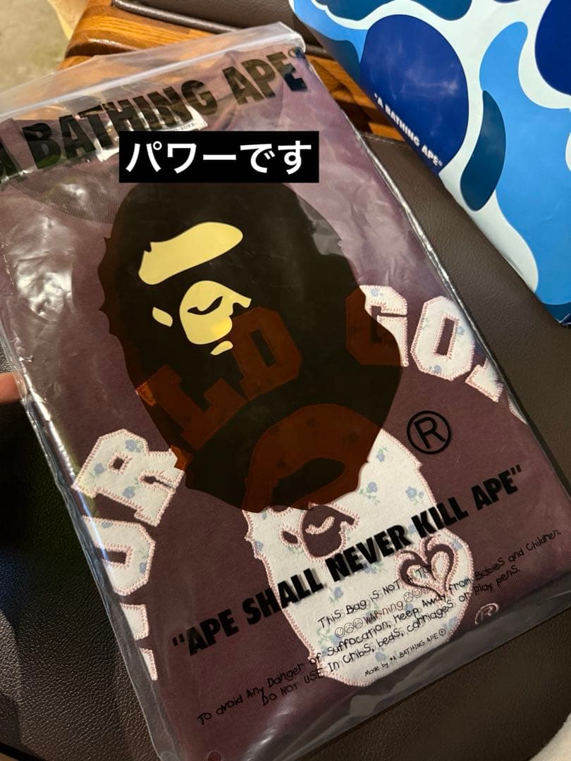 BP/MS COLLEGE PATCH TEE ブラウン