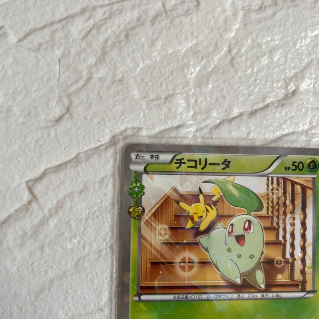 チコリータ C CP3 ポケキュンコレクション