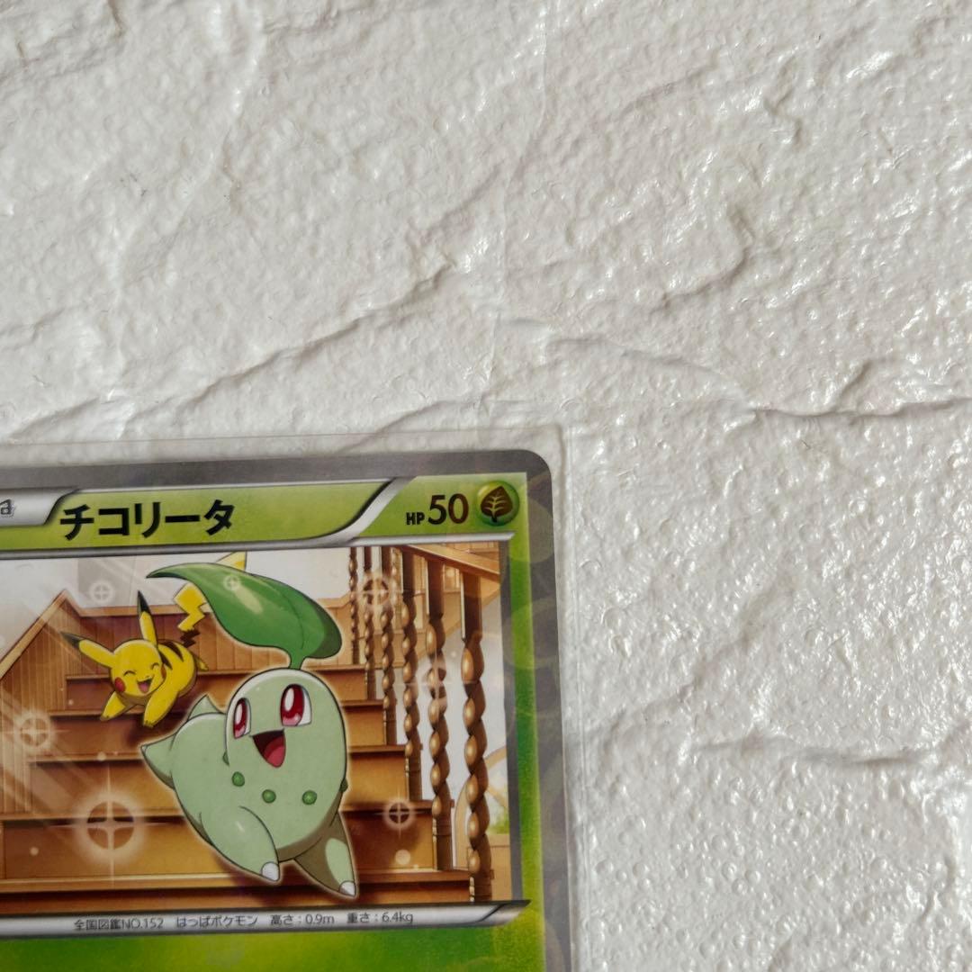 チコリータ C CP3 ポケキュンコレクション