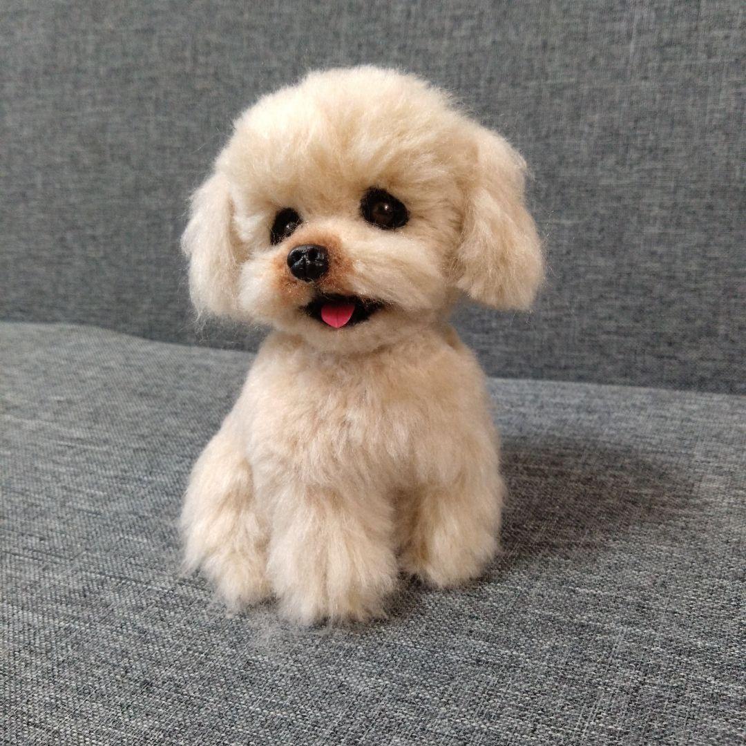 羊毛フェルト＋毛糸　トイプードル　マルプー　アプリコット　犬　ハンドメイド