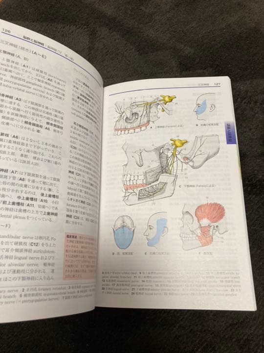 分冊解剖学アトラス Ⅰ (運動器)
