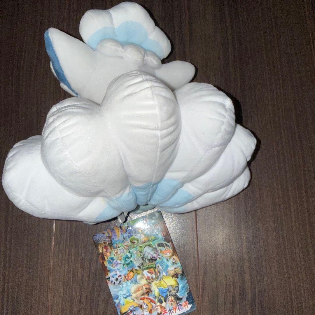 ピカチュウ　アローラロコン　ぬいぐるみ