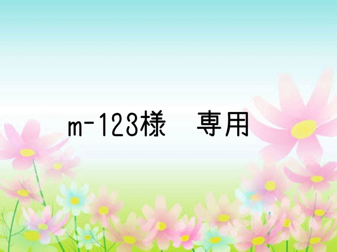 m-123　51番　Sサイズ