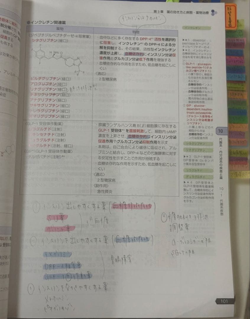 111回薬剤師国家試験 青本9冊セット