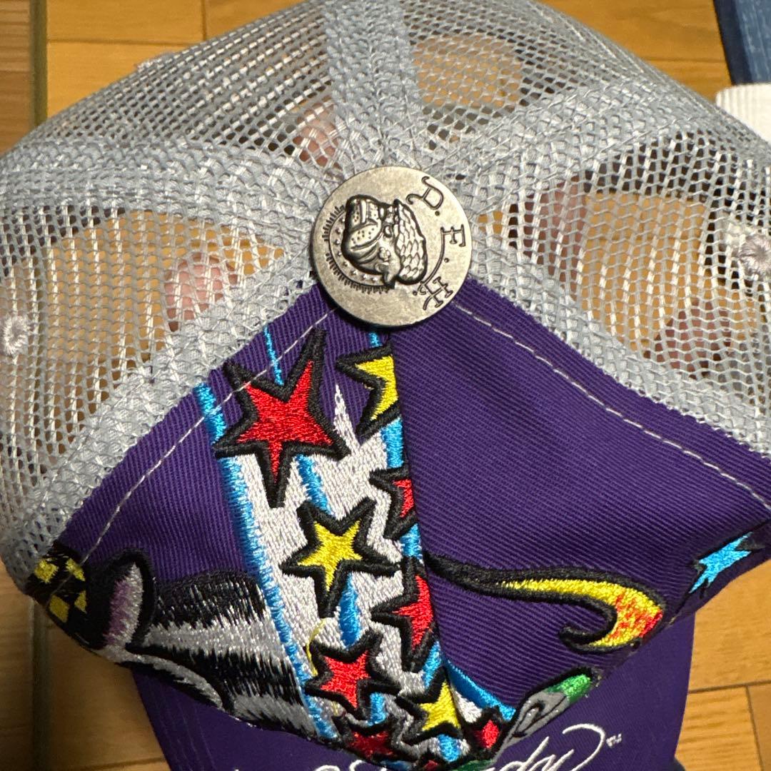 ED HARDY x BOA コラボ キャップ