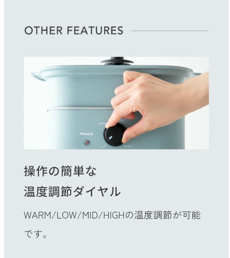 未使用☆新品　コンパクトグリル鍋&焼肉　WGV-A60 ピーコック