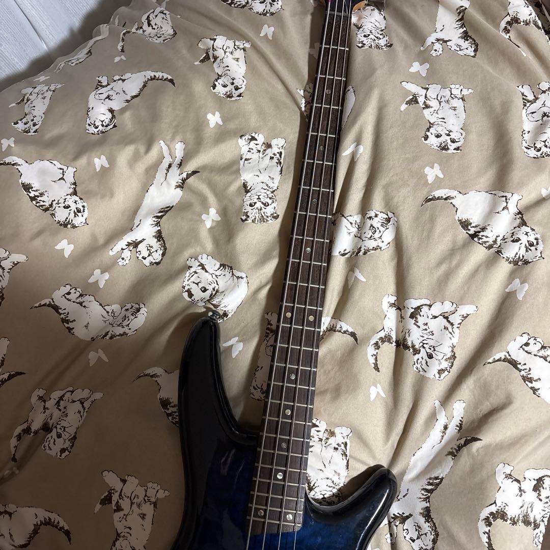 あ*り様 Ibanez SoundGear SRシリーズ エレキベース ソフトケ
