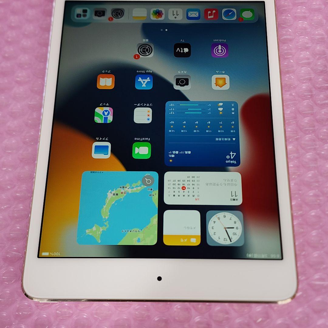 iPad mini 第4世代　美品　バッテリー良好　Wi-Fiモデル　64GB