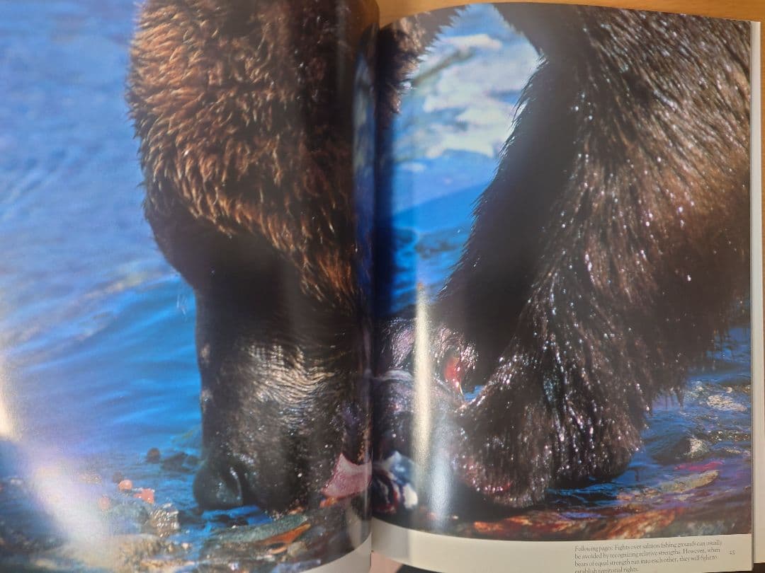 【美品】星野道夫　GRIZZLY & MOOSE 写真集2冊セット
