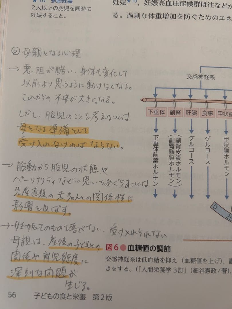 参考書教科書類