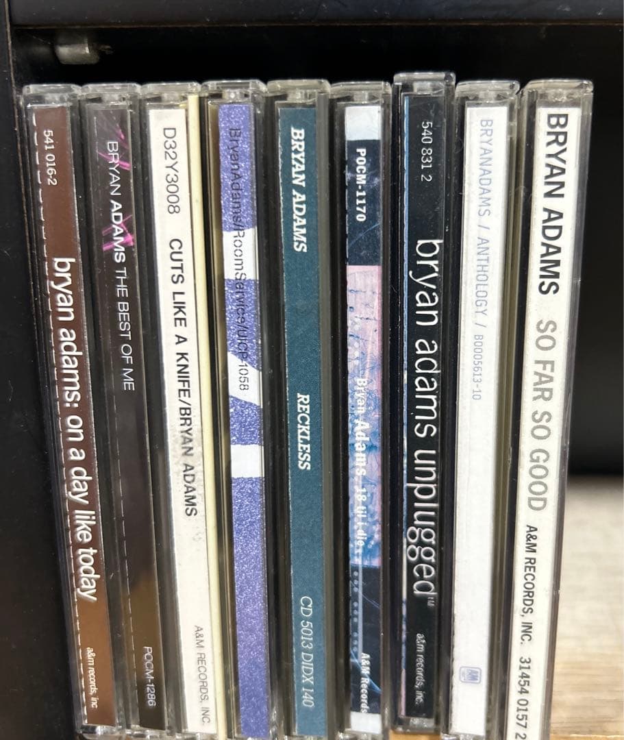 Bryan Adams CD、DVD