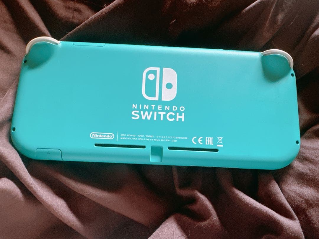 ニンテンドー Switch lite