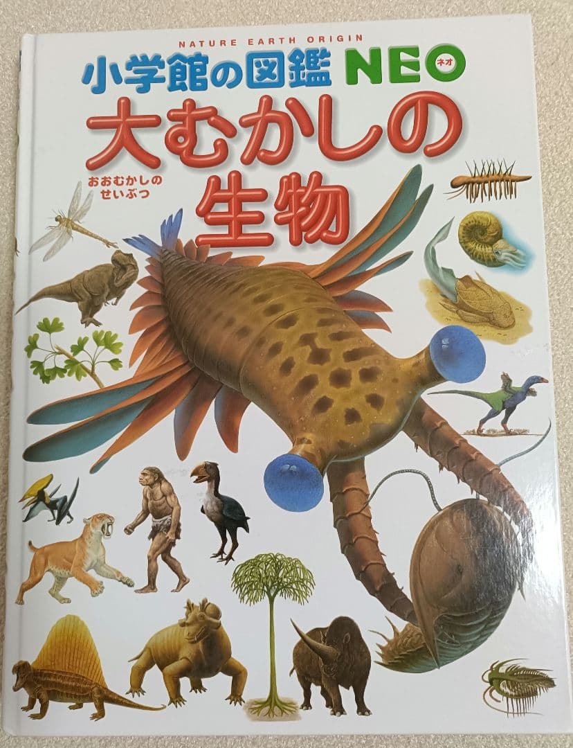 小学館の図鑑NEO 12冊+21世紀こども百科1冊 全13冊セット