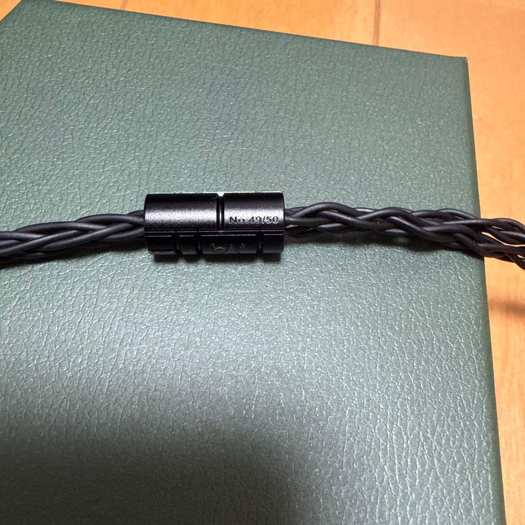 イヤホン Beat Audio Shadow Sync 8-Wire-Custom