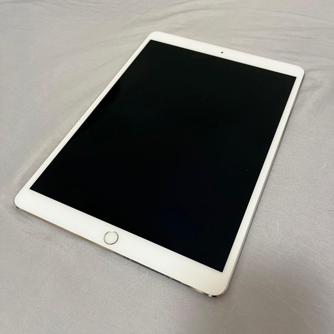 iPad Pro 10.5 512GB Wi-Fi Cellular 本体