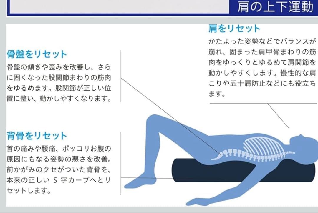 正規品LPN社製 ストレッチポール(R)EXシリーズ ストレッチポール 98cm