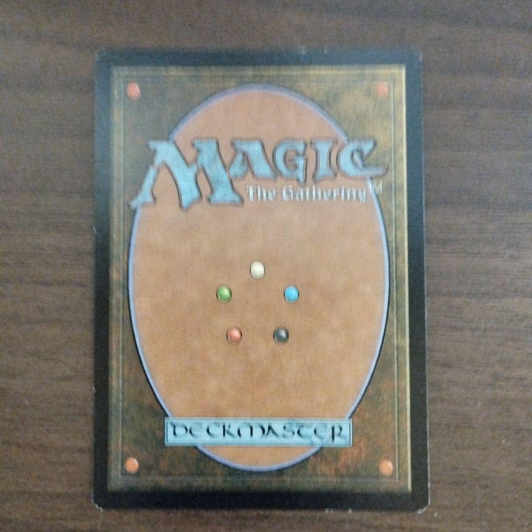 MTG錯乱した隠遁者3枚日本語版2枚英語版1枚