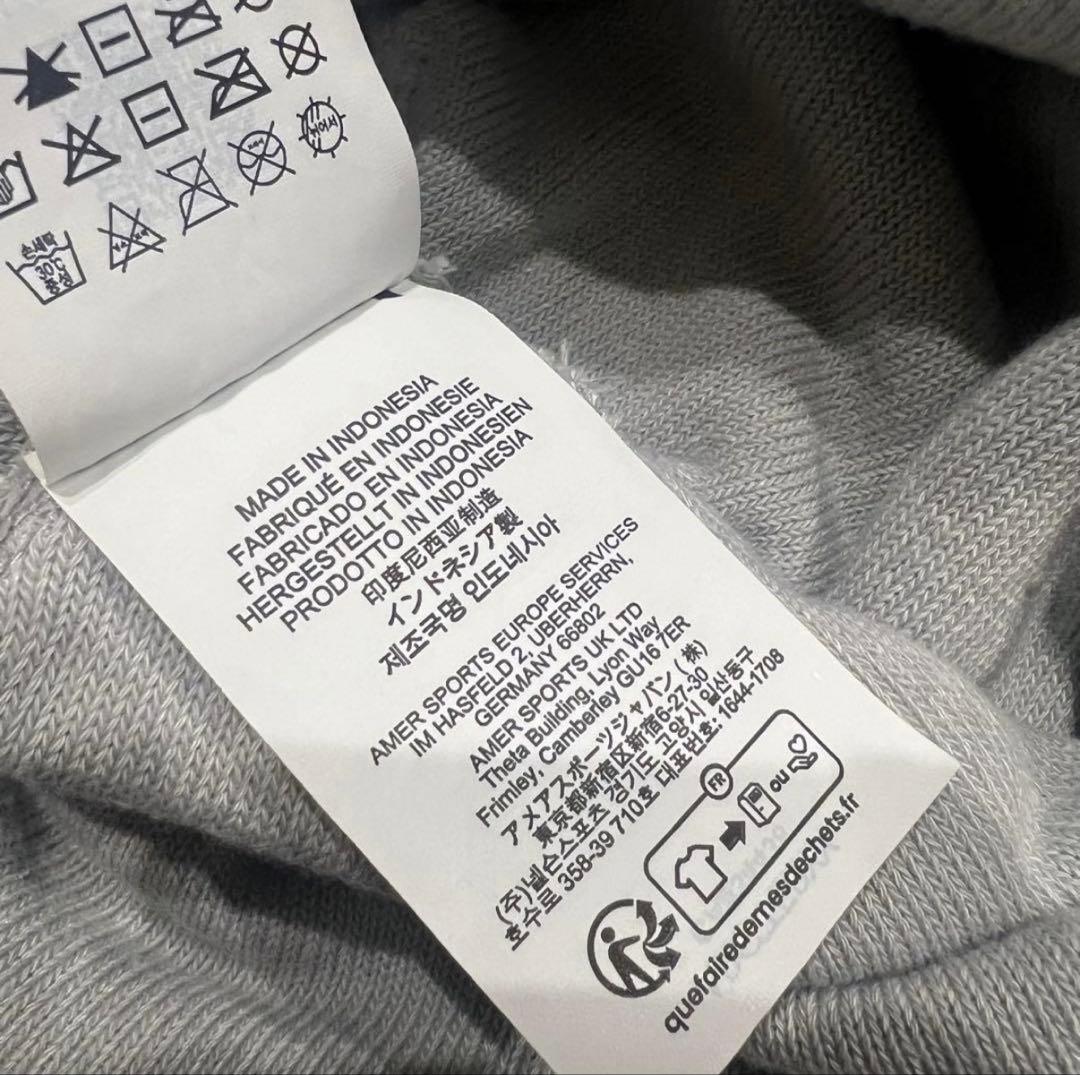arc'teryx bird word toque バードワードトーク