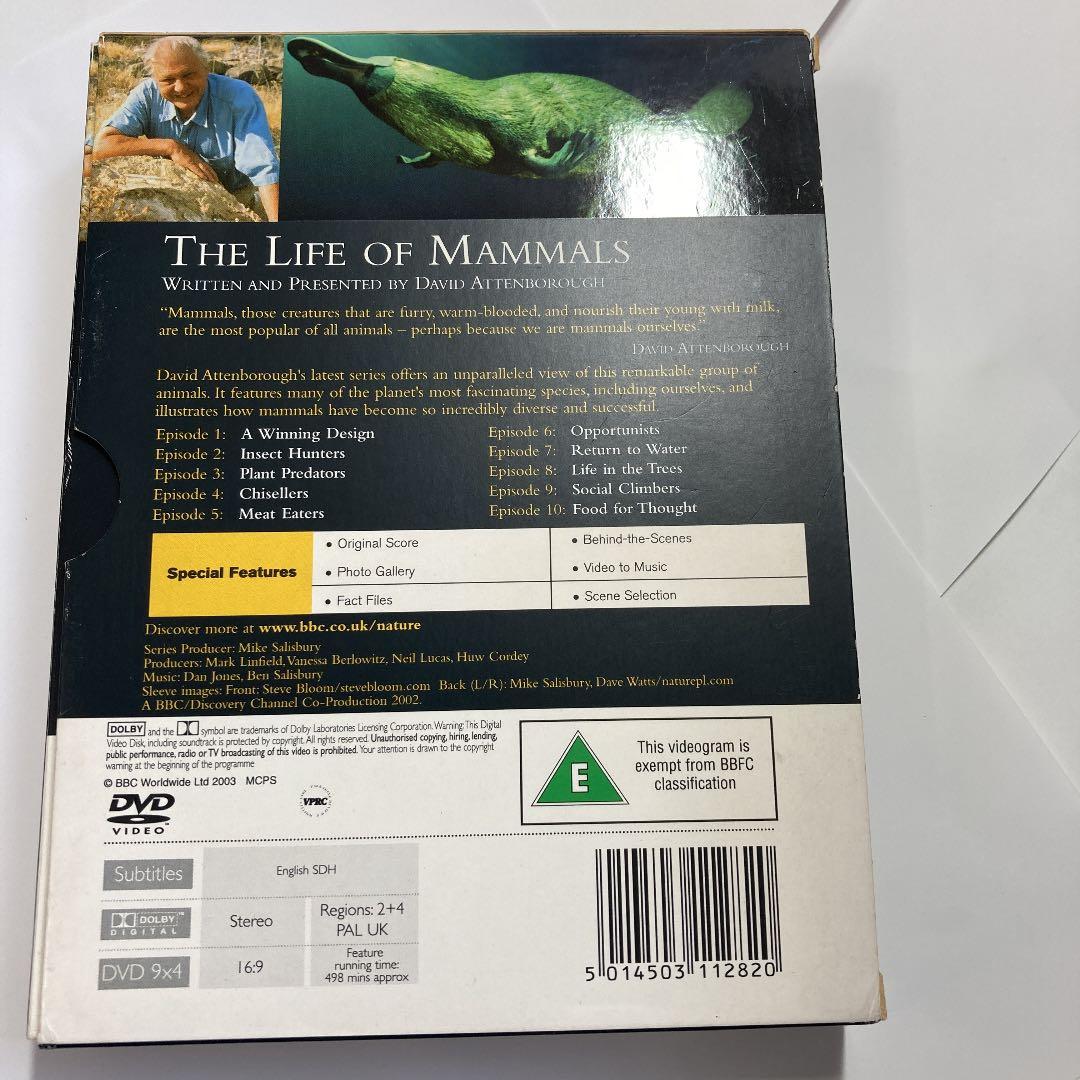 洋画・外国映画 DVD BBC THE LIFE OF MAMMALS