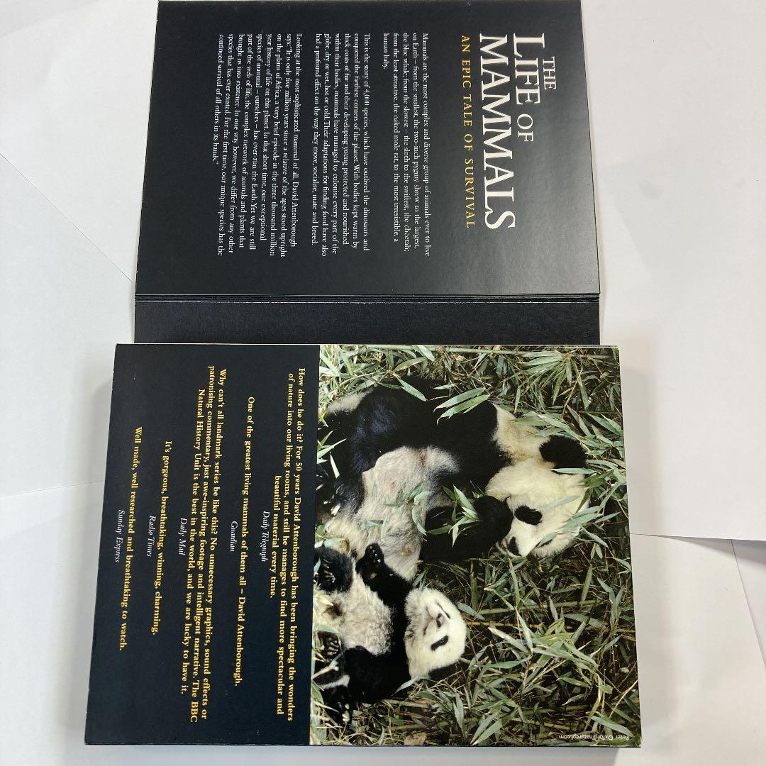 洋画・外国映画 DVD BBC THE LIFE OF MAMMALS
