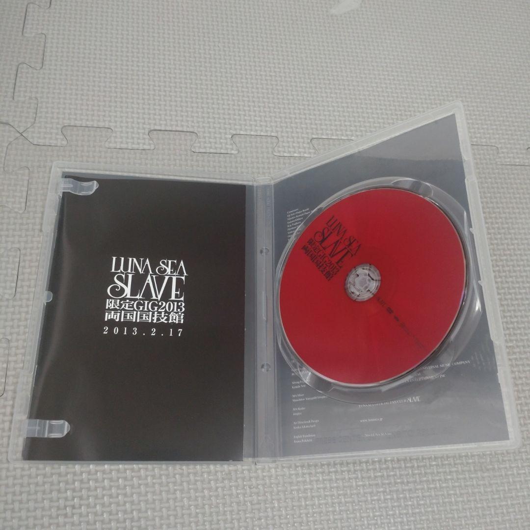 ぱんさん専用　LUNA SEA SLAVE 限定GIG2013 真冬の野外