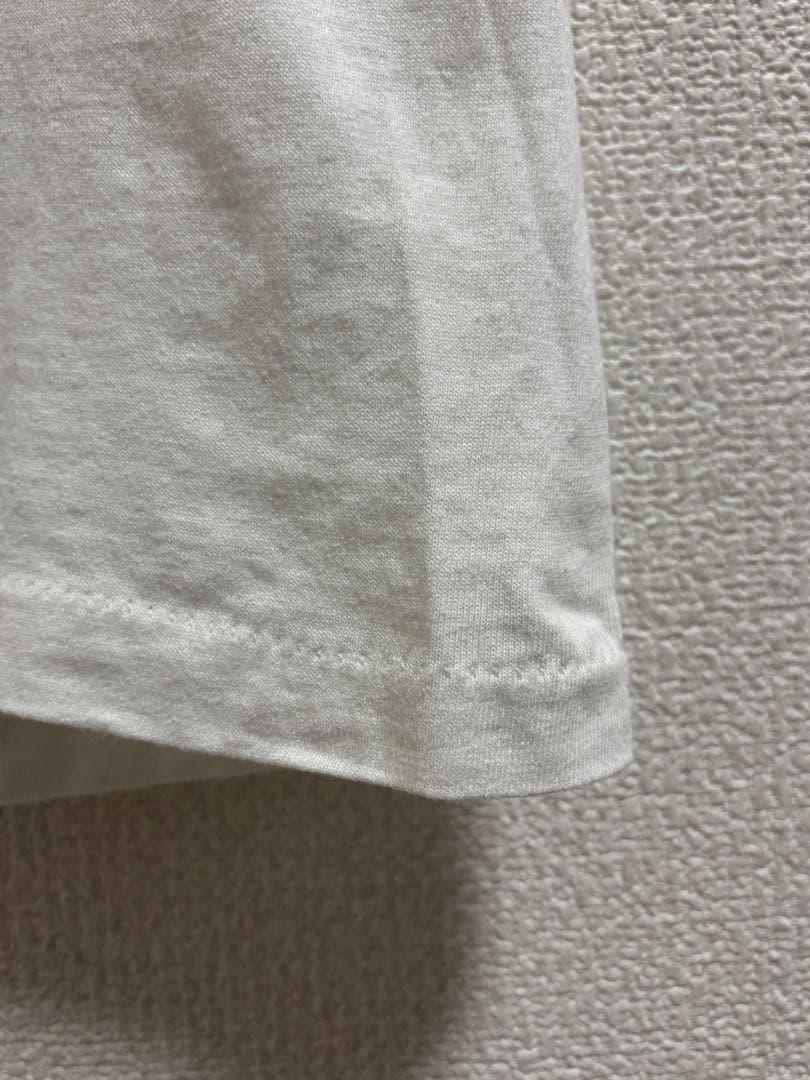 OLD STUSSY SSリンク ドラゴン Tシャツ