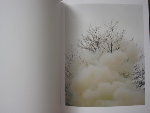 Find a Fallen Star　Regine Petersen　限定80部