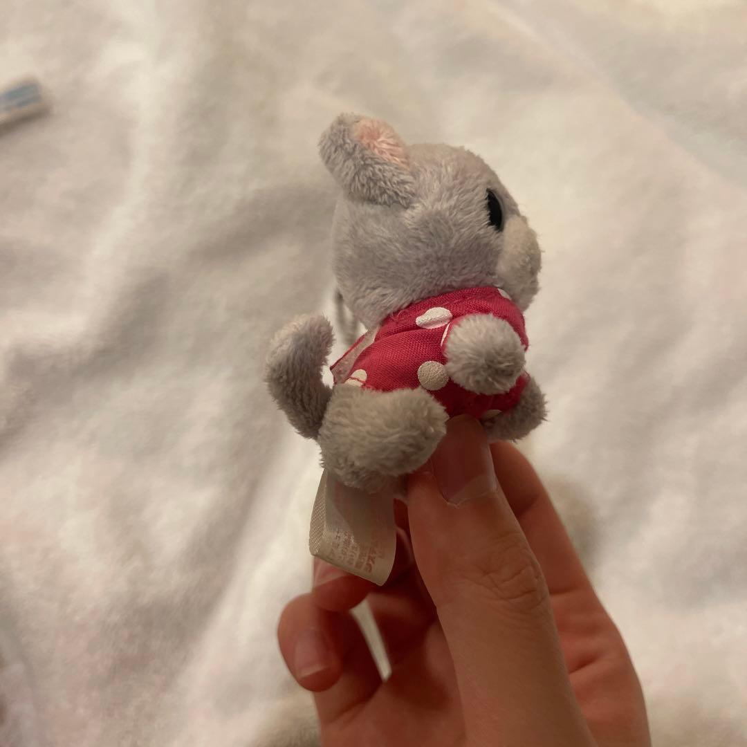 サンエックス　ちわわんこ　ミニ　ぬいぐるみ