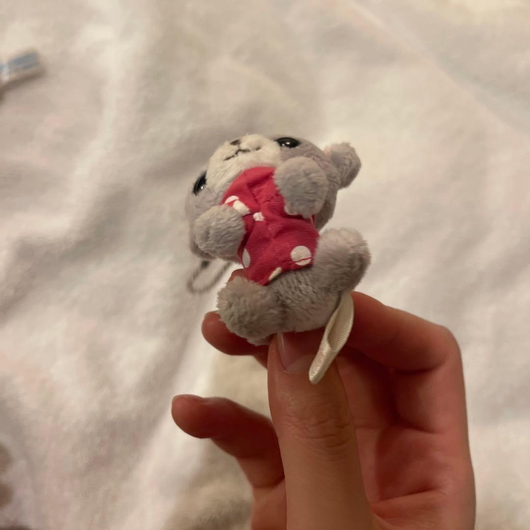 サンエックス　ちわわんこ　ミニ　ぬいぐるみ