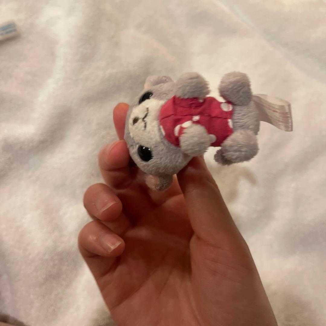 サンエックス　ちわわんこ　ミニ　ぬいぐるみ