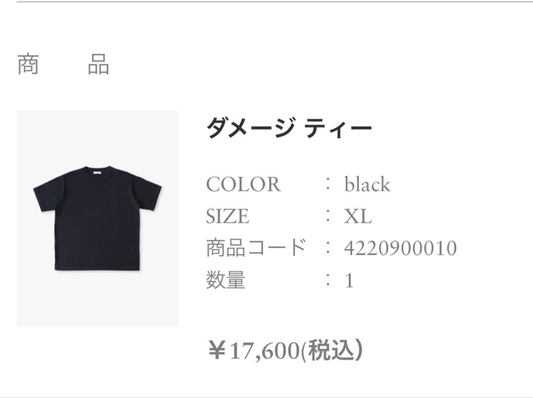 ロンハーマンダメージTシャツ　XL ブラック　OVY