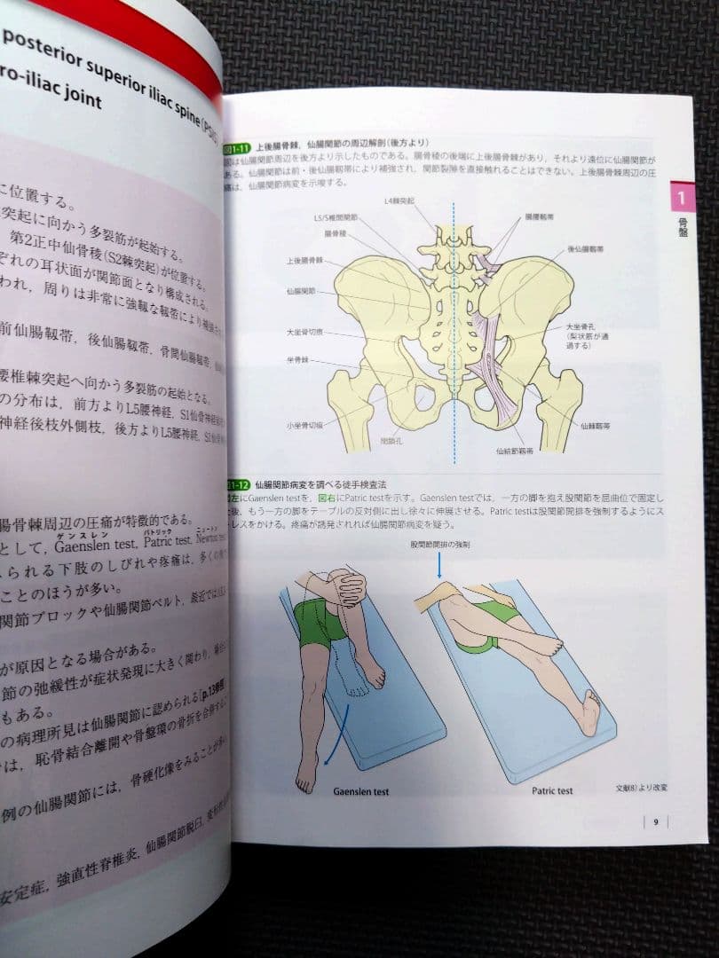 ケアマネ　介護士　看護師　触診技術第2版　フルカラー　理学療法士　作業療法　PT