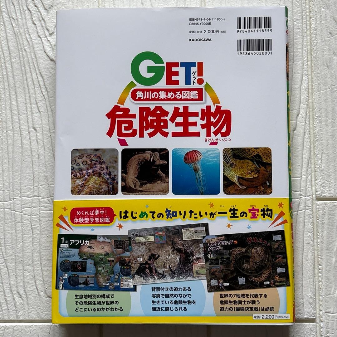 GET! 動物・危険生物・昆虫・恐竜(４冊セット)
