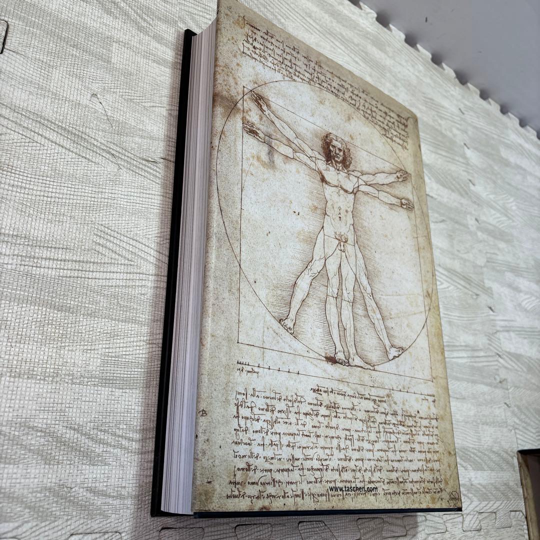 レオナルド・ダ・ヴィンチ : 1452-1519年 : 全絵画作品・素描集