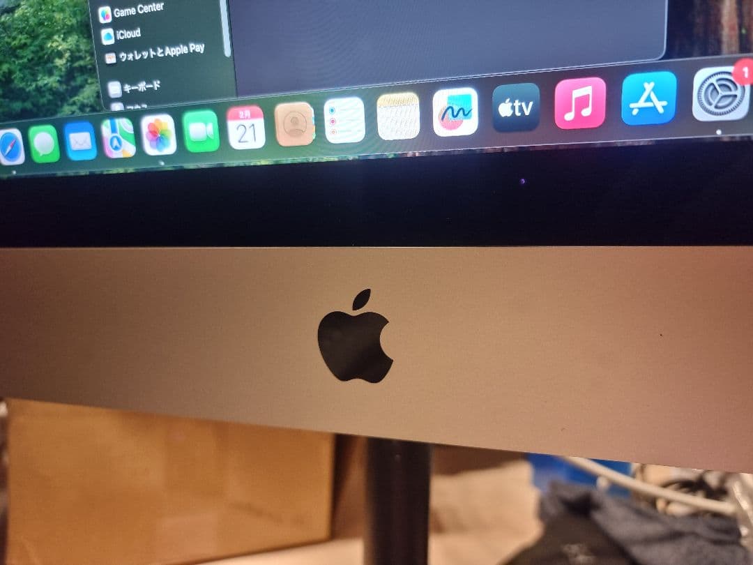 iMac 21.5 4K Core i5 / 8GB / 1TB 2019　本体