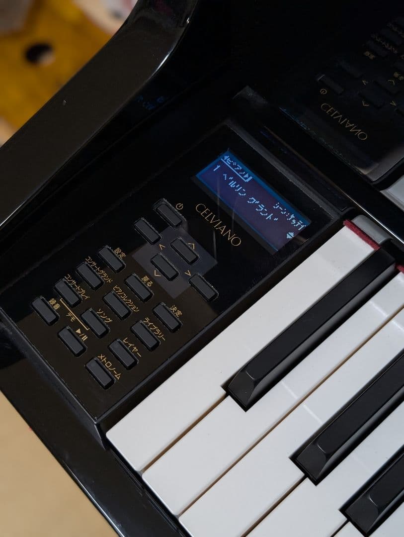 CASIO 電子ピアノ GP-1000 ベヒシュタイン ハイブリッドピアノ