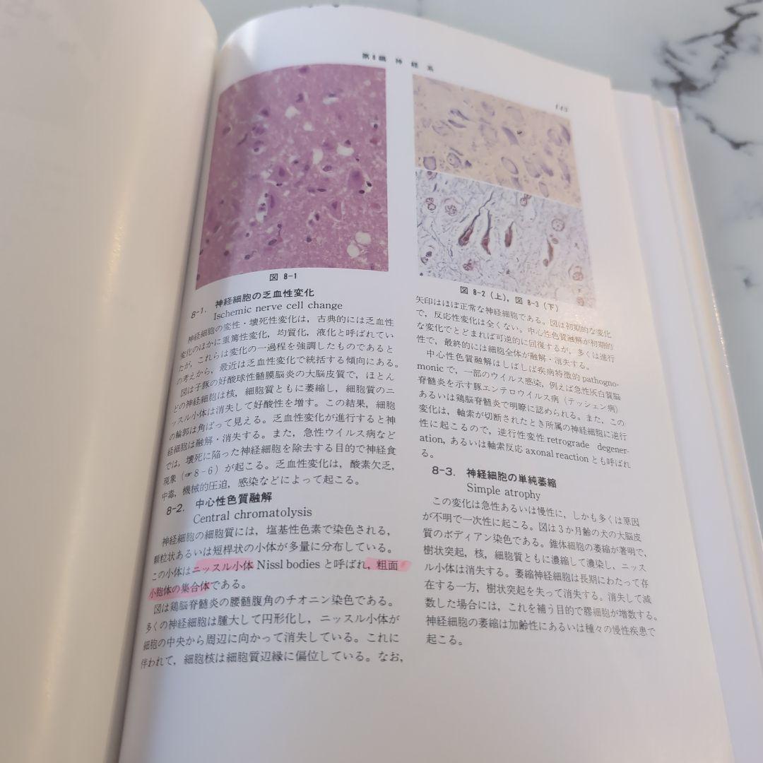 獣医病理組織カラーアトラス