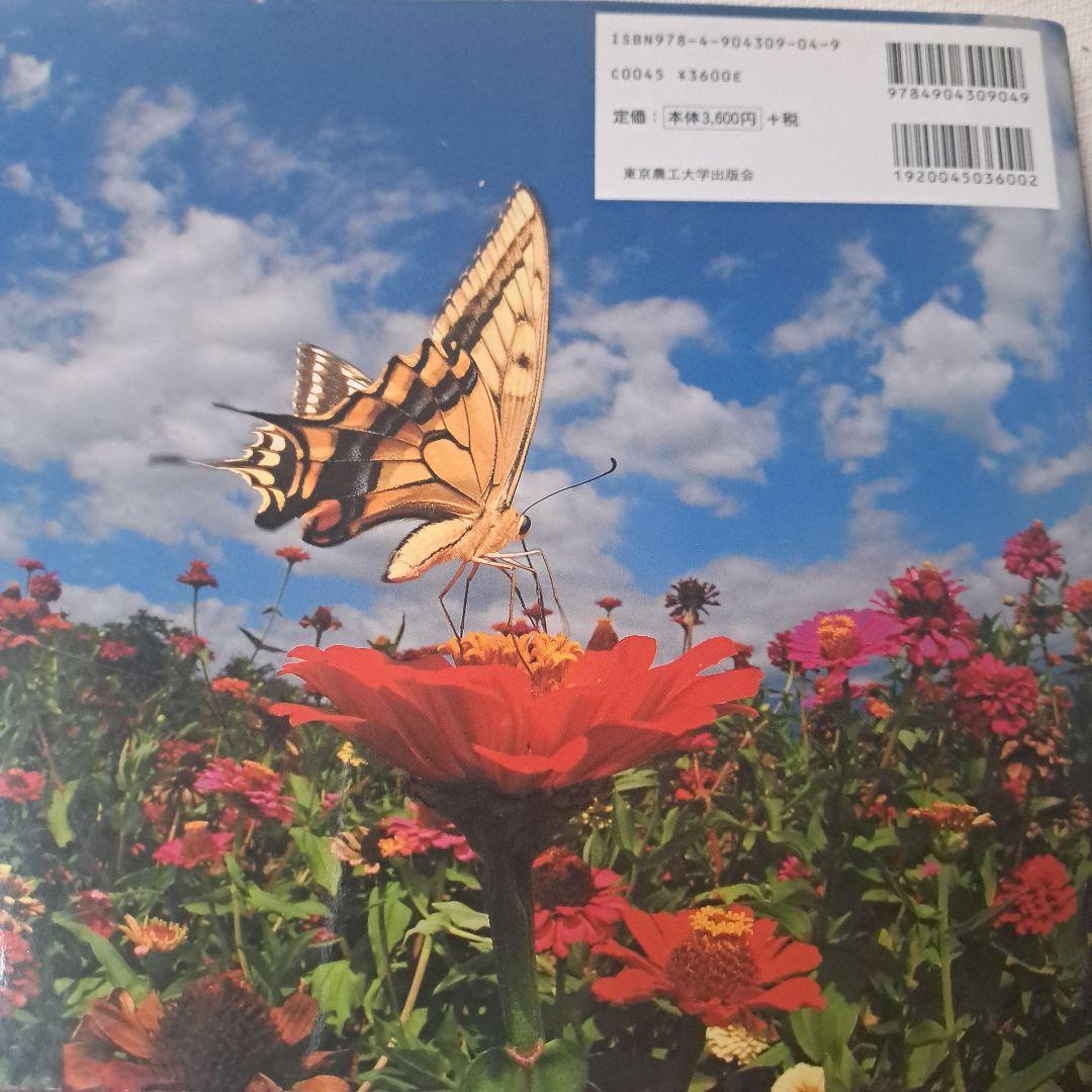 蝶の道 Butterflies