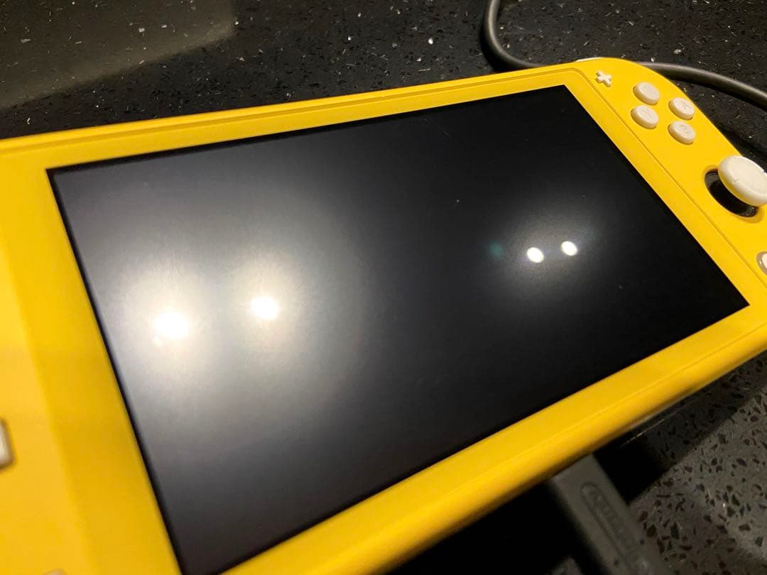 Nintendo Switch Lite 本体＋充電器