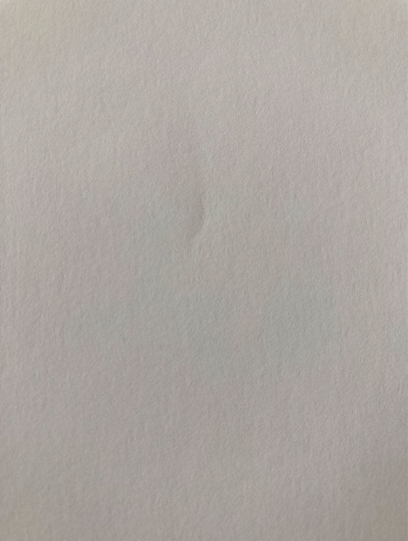 ❗️12/12まで❗️君に届け 複製原画+付録など 椎名軽穂