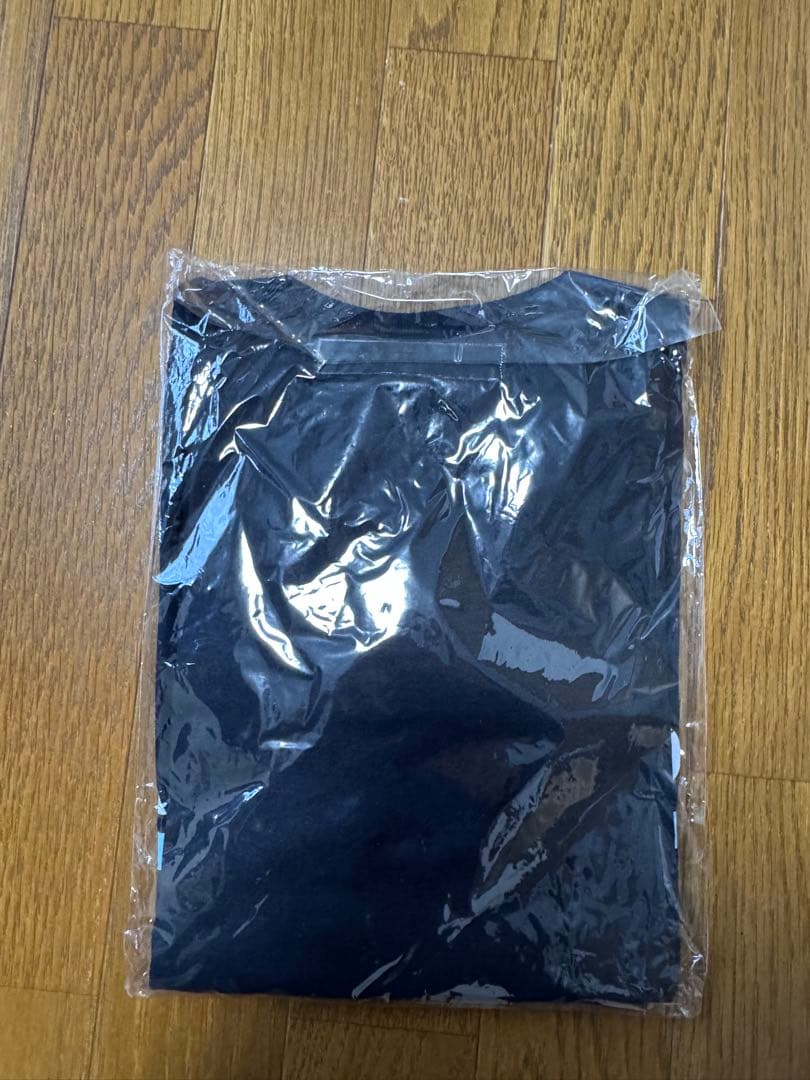 GOING STEADY もしも君がなくならばTシャツ　新品未開封 銀杏BOYZ